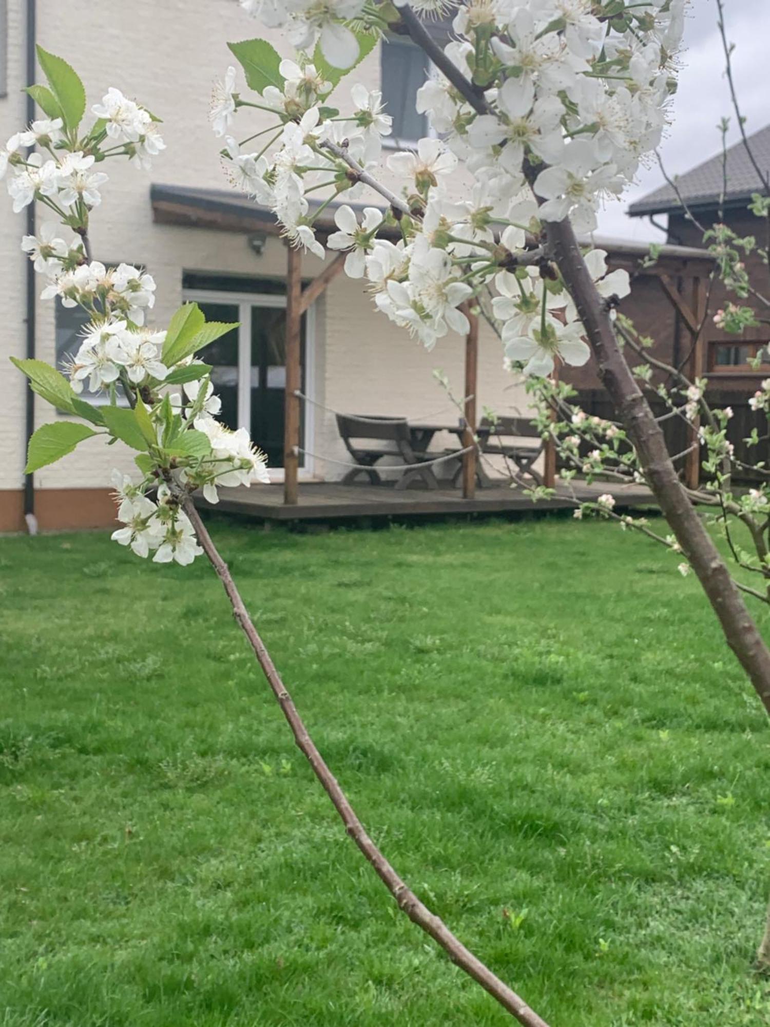 Pilaites Svetingi Namai VNO Exterior foto